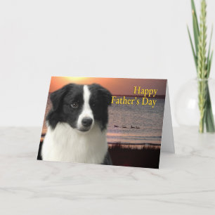 Border Collie Father's Day Card