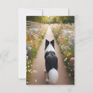 Border Collie Flat Note Card with Envelope