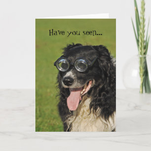 Border Collie Flocking Sheep Card