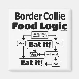 Border Collie Food Logic Magnet