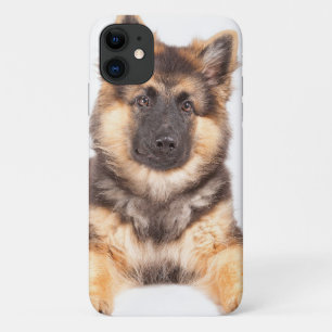Border Collie German Shepherd Mix iPhone 11 Case