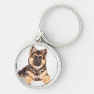 Border Collie German Shepherd Mix Key Ring