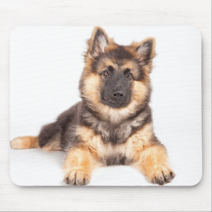 Border Collie German Shepherd Mix Mouse Mat