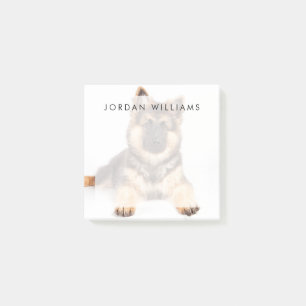 Border Collie German Shepherd Mix Post-it Notes