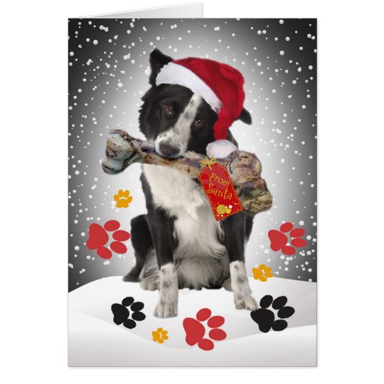 Border Collie Gift From Santa Cards