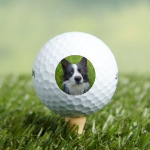 Border Collie Golf Balls