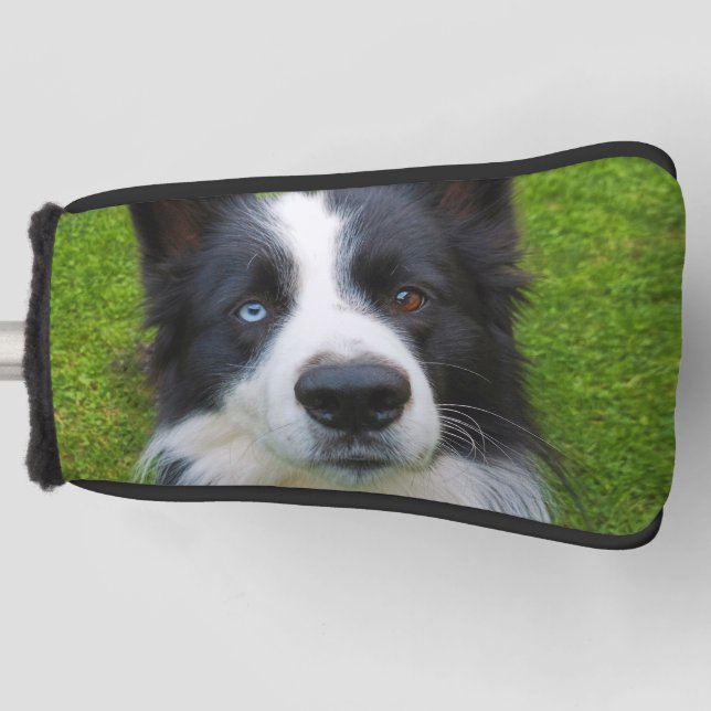 Border Collie Golf Head Cover (Front)