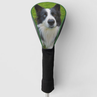 Border Collie Golf Head Cover