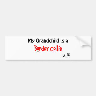 Border Collie Grandchild Bumper Sticker
