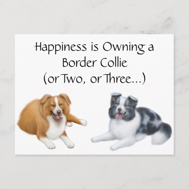 Border Collie Happiness Postcard (Front)