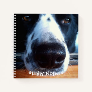 Border Collie Heeler Mix Dog Boop My Nose Photo Notebook