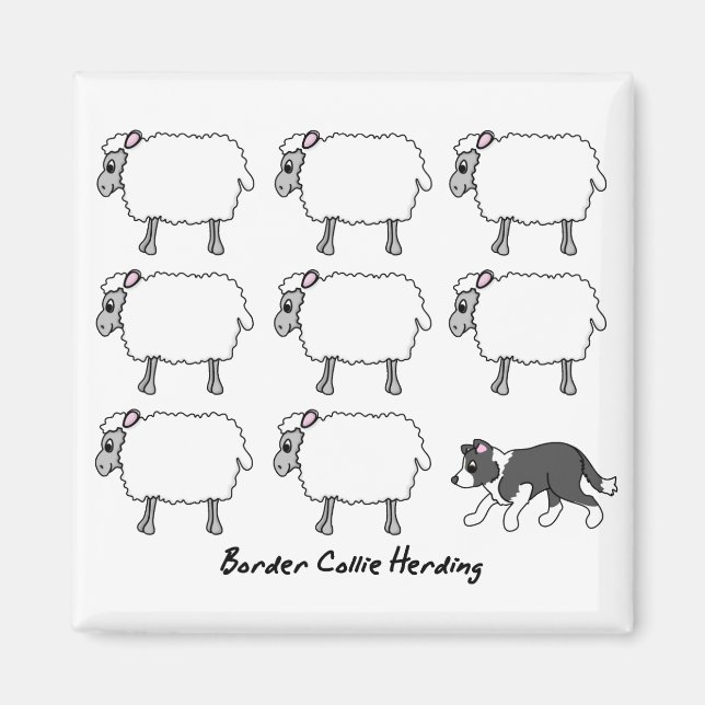 Border Collie Herding Sheep Magnet (Front)
