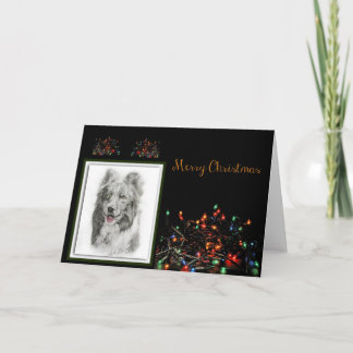 Border Collie Holiday Card