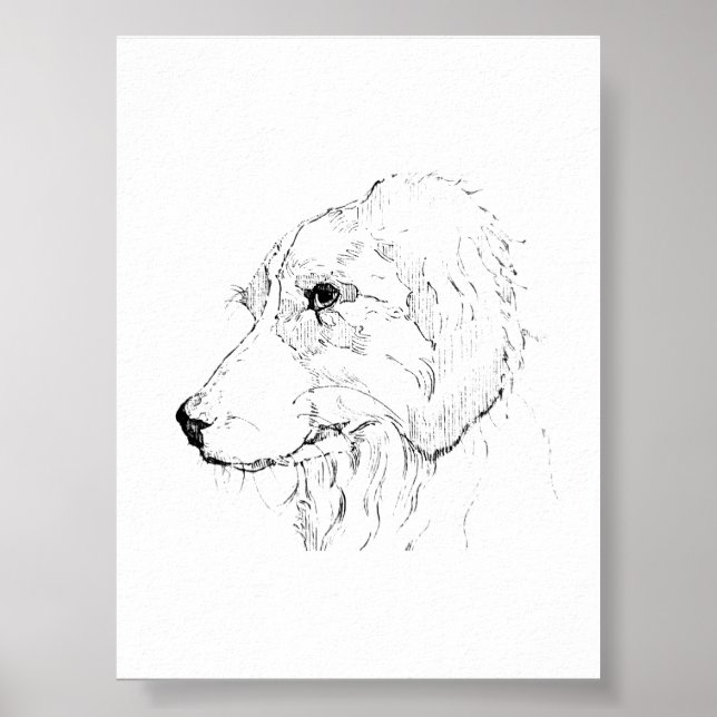 Border Collie Illustration – Minimalist Art Poster (Front)