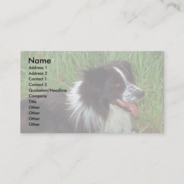 Border Collie in grass Business Card (Front)