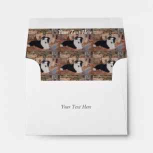 border collie in log shed with chickens portrait envelope