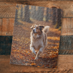 Border Collie in the forest Jigsaw Puzzle