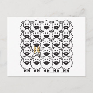 Border Collie in the Sheep Postcard
