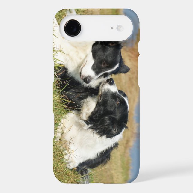 Border Collie iPhone 4S Cover (Back)