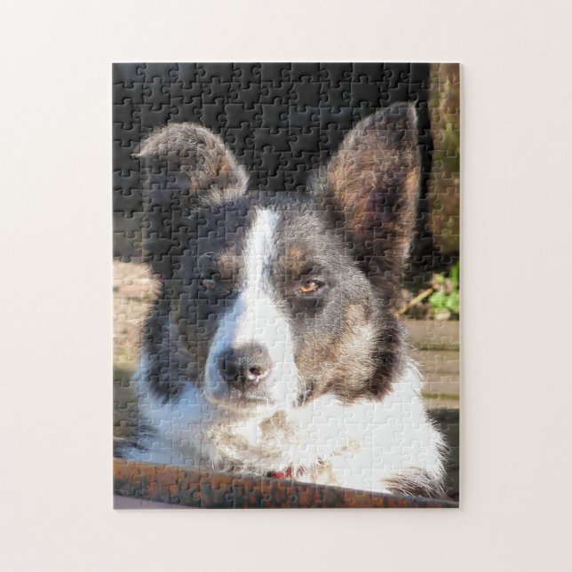 BORDER COLLIE JIGSAW PUZZLE (Vertical)