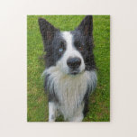 Border Collie Jigsaw Puzzle<br><div class="desc">A handsome Border Collie</div>