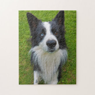 Border Collie Jigsaw Puzzle