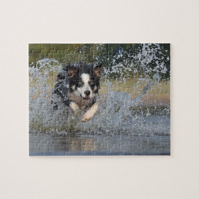Border Collie Jigsaw Puzzle (Horizontal)