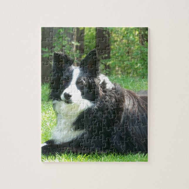 Border Collie Jigsaw Puzzle (Vertical)