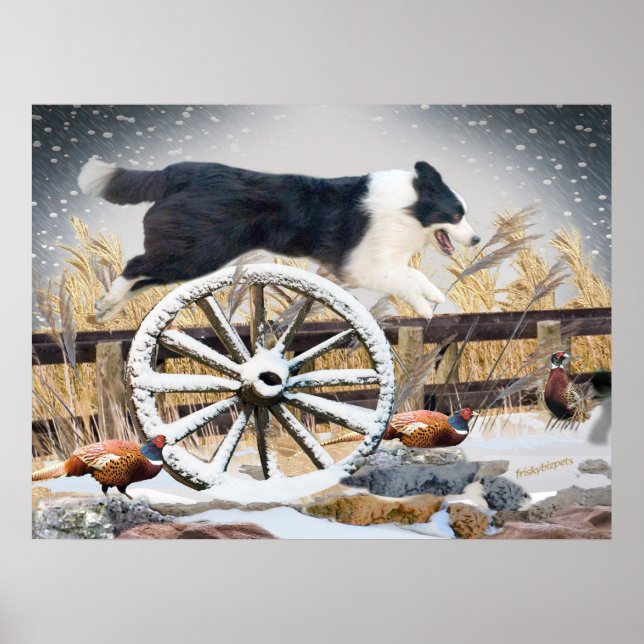 Border Collie Jumping wagon wheel Poster (Front)