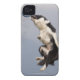 Border Collie just before catching the ball high Case-Mate iPhone Case (Back)