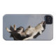 Border Collie just before catching the ball high Case-Mate iPhone Case (Back Horizontal)