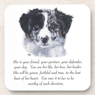 Border Collie Keepsakes Coaster