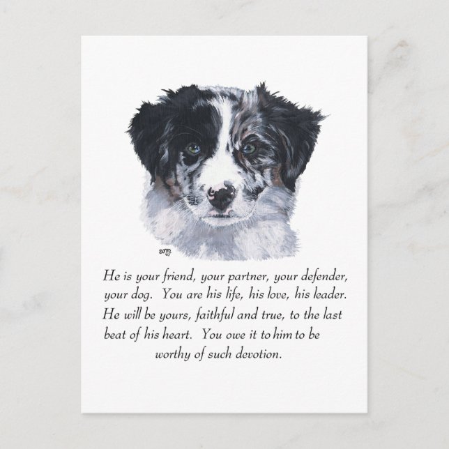 Border Collie Keepsakes Postcard (Front)
