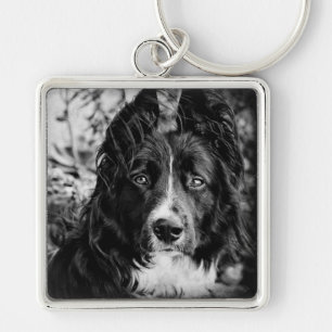 Border Collie Key Chain