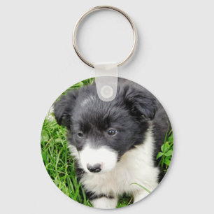 BORDER COLLIE KEY RING
