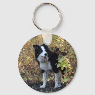 border collie key ring