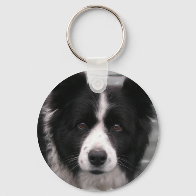 Border Collie Keychain (Front)
