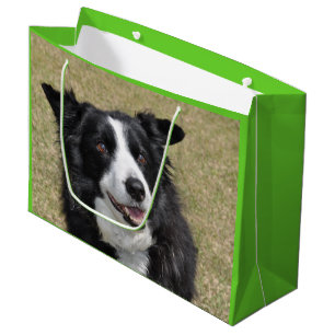 Border collie large gift bag