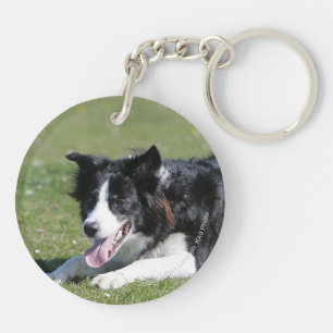 Border Collie Laying Down Key Ring