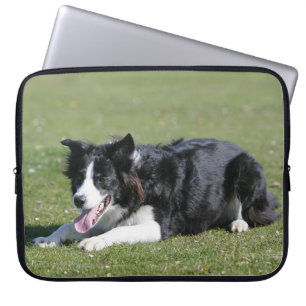 Border Collie Laying Down Laptop Sleeve
