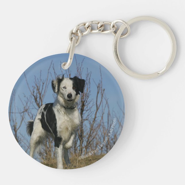 Border Collie Leg Raised Key Ring (Back)