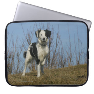 Border Collie Leg Raised Laptop Sleeve
