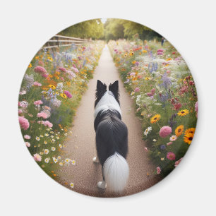 Border Collie Magnet