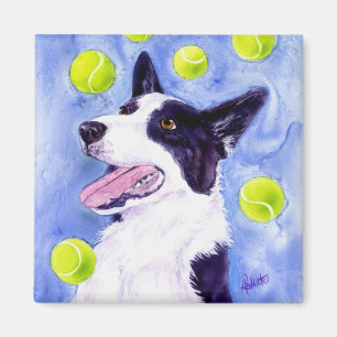 Border Collie Magnet - "Magpie's Gold"
