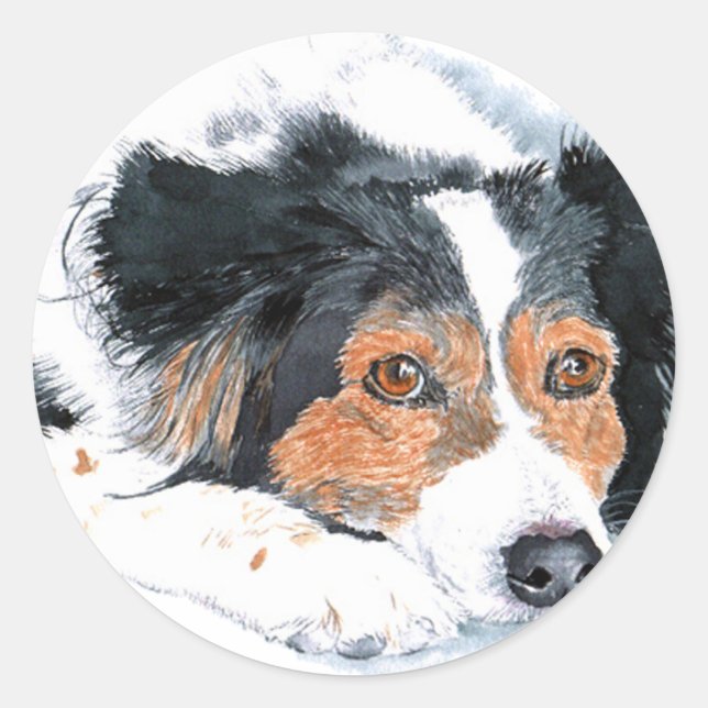 Border Collie Mattie Stickers (Front)