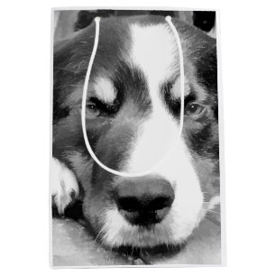 BORDER COLLIE MEDIUM GIFT BAG