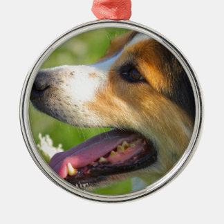 Border Collie Metal Tree Decoration