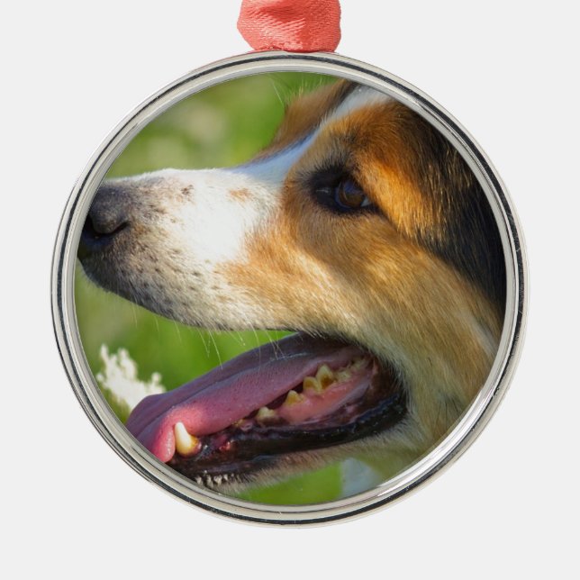 Border Collie Metal Tree Decoration (Front)