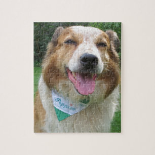 border collie mix jigsaw puzzle