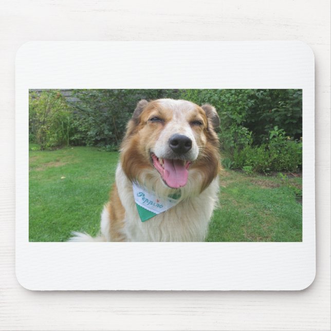 border collie mix mouse mat (Front)